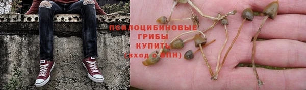 винт Балабаново