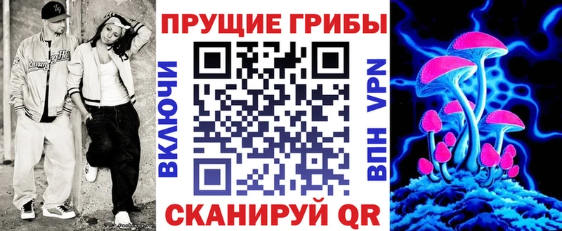 Галлюциногенные грибы Psilocybe  Купить  Нерюнгри 